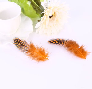 <span class=keywords><strong>Venta</strong></span> al por mayor teñido <span class=keywords><strong>Guinea</strong></span> pluma Natural barato <span class=keywords><strong>Guinea</strong></span> plumas para la <span class=keywords><strong>venta</strong></span> - Product Image 1