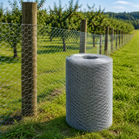 Grillage hexagonal galvanisé pour poulailler, maille de 1/2 po, technique ondulée, filet de clôture, découpe personnalisable en largeur et longueur