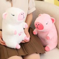 Nouveauté : Peluches Capybara Adorables Lumineuses en Coton PP – Cadeaux d'Anniversaire Unisexe pour Enfants de 2 à 14 ans et plus – 30 cm – Emballage Sous Vide