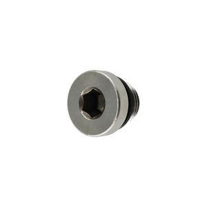 DIN 908 1/8 "G Ống Chủ Đề Lục Giác Ổ Cắm Vít - Product Image 5