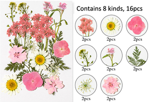 Chất Lượng Cao Ép Hoa Khô Nguồn Cung Cấp Trang Trí Cho Khung - Product Image 5