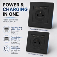 Prise murale EU en acier inoxydable DepoGuye 86x86mm, interrupteur Schuko français, panneau d'interrupteur USB Type-C, pour maison et hôtel