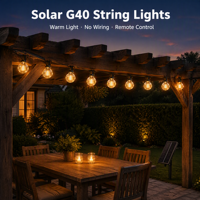 Guirlande lumineuse LED à ampoules en verre G40, alimentée par énergie solaire, AC 110V AC 220V DC 24V, multi-tension, éclairage décoratif extérieur pour jardin et patio