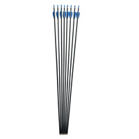 Flèches à carbone mixtes en acier inoxydable, 4.2mm, pour la chasse, pour le tir