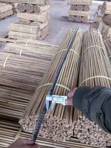 Estacas de Bambú Natural de Fabricación Vietnamita para Soporte de Plantas, Estacas para Viñedos y Cañas de Bambú para Jardín - Product Image 6