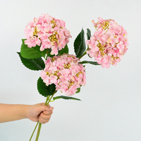 Dekorasi Bunga Hydrangea Sutra Buatan untuk Pernikahan di Hotel, Lengkungan Bunga, Plafon Auditorium, Bunga Buatan
