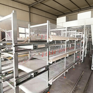 อุปกรณ์เลี้ยงไก่แบบอัตโนมัติ กรงไก่เนื้อสำหรับขาย - Product Image 2