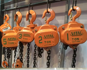 2 tấn hsz chuỗi khối ròng rọc khối cho nâng với chất lượng cao - Product Image 6