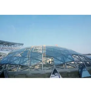 LF Modern Design Steel Space Frame Metal Glass Roof Geodesic Dome Structural System with low cost