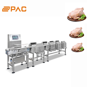 Máquina Classificadora de Peso em Linha Reta de Alta Precisão SUS304 1000g Equipamento de Classificação de Frutas e Vegetais para Fábrica de Processamento de Frutas - Product Image 4