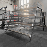 Cage à poules de type A galvanisée à chaud Linchuan, capacité 96-160 poules, conception à étages pour économiser l'espace, idéale pour les fermes avicoles