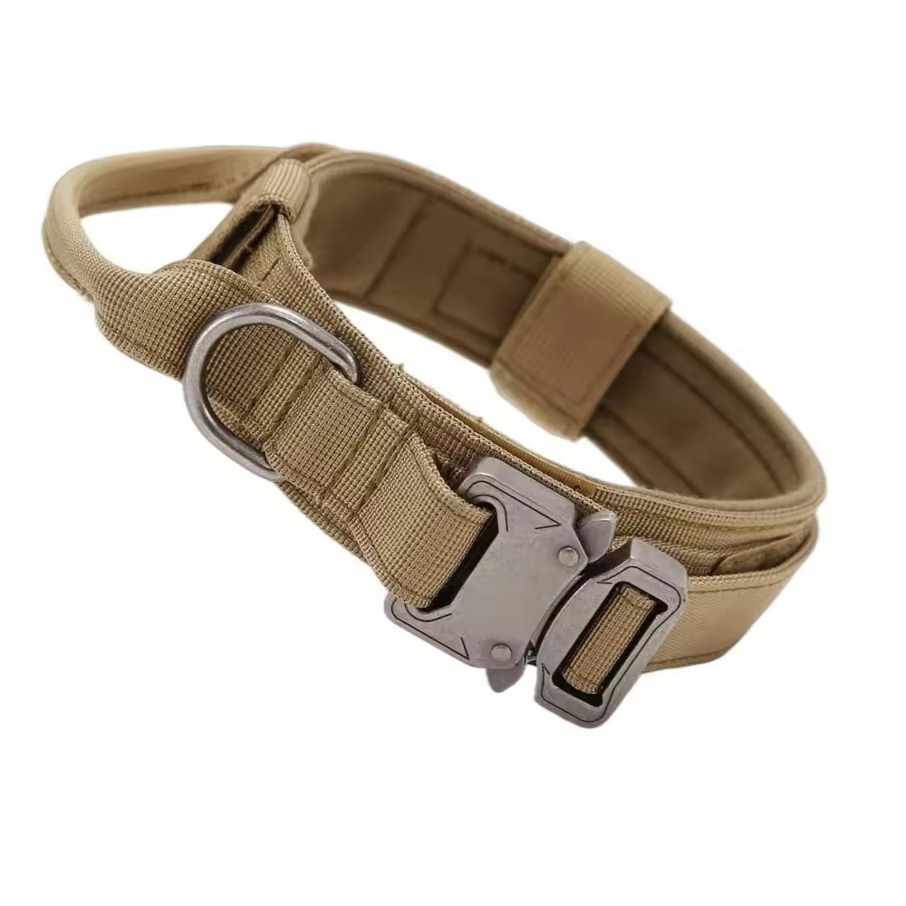 Coyote Brown