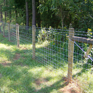 Malla de alambre de alta resistencia de hierro galvanizado por inmersión en caliente 1,0/1,2/2 m de altura 50 m de longitud granja ganadera valla de ganado naturaleza - Product Image 2