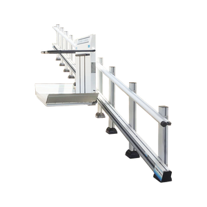 Plataforma Elevadora Inclinada Discreta con Función Plegable y Rendimiento Confiable para el Hogar y Hoteles - Product Image 1