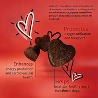 Complément Alimentaire OEM en Gros pour Chiens : Formule Cardiovasculaire pour le Soutien Cardiaque (CoQ10, L-Taurine, L-Carnitine) – Friandises à Mâcher Souples, 60 Unités, 270g