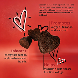 Integratore per il Supporto Cardiaco dei Cani OEM all'Ingrosso, Formula Cardiovascolare con CoQ10, L-Taurina, L-Carnitina, 60 Compresse Masticabili, 270g - Product Image 6