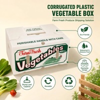 Boîte à légumes en plastique ondulé, robuste, remplace le carton |   Caisses à légumes empilables étanches, semences de riz recyclées