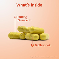 Prix d'usine : Capsules de Quercétine, Quercétine Bromélaïne Zinc, 120 Capsules Végétariennes, Complément Vitaminique, Soutien Enzymatique