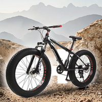 Cadre en acier à haute teneur en carbone de vente chaude VTT adulte 21 vitesses en aluminium Double frein à disque gros pneu course sur route désert neige