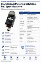 Medidor de Agua Ultrasónico Inteligente para Ciudad Inteligente, IP68 Clase 2 R1000 LCD con RS-485 M-BUS y Módulo Inalámbrico LoRaWAN Opcional