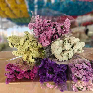 Decoración de Lujo para el Hogar, Flores Preservadas, Plantas, No <span class=keywords><strong>Me</strong></span> Olvides, Ramo Duradero, Boda, Año Nuevo Chino, Morado, Multicolor - Product Image 2