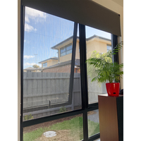 Moustiquaire pliante pour fenêtre, en aluminium, rétractable, pour extérieur, protection contre les insectes et les mouches, vente chaude