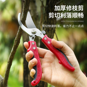 Cisailles de taille-haie Pinheng 20-30 mm en acier inoxydable avec poignée papillon pour la taille des branches - Product Image 1