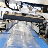 Machine d'emballage horizontale entièrement automatique pour viande de poulet fraîche et aliments surgelés, avec contrôle PLC, fonctions d'étiquetage et de scellage