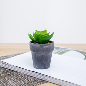 <span class=keywords><strong>Pas</strong></span> cher en gros mini <span class=keywords><strong>cactus</strong></span> extérieur assortiment d'intérieur arrangement artificielle plantes succulentes en pot ensemble - Product Image 6