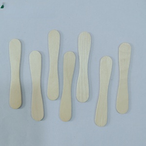 Cuillères à glace et cuillères de dégustation jetables en bois, emballées individuellement, avec logo personnalisé pour les fêtes, les cafés et la restauration - Product Image 1