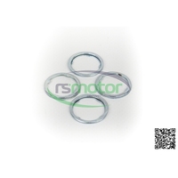 Bague d'étanchéité RS-01174200 d'origine OEM pour MWM Pièce de moteur au gaz naturel neuve avec joint d'étanchéité