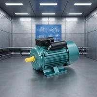 Moteur asynchrone monophasé OMEIK série YL 1HP 2HP 10HP 1450 tr/min, cadre 130 mm, montage sur pied, entièrement fermé, 50/60Hz