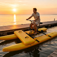 Vélo aquatique gonflable multicolore en PVC, série WB, modèle OEM d'usine, pour centres de villégiature mondiaux