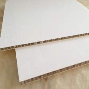 Fiber <span class=keywords><strong>de</strong></span> <span class=keywords><strong>verre</strong></span> PP nid d'abeille <span class=keywords><strong>panneau</strong></span> sandwich - Product Image 1