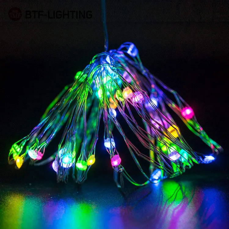 Holiday lighting decoration 5m ws2812b addressable copper wire light for Christmas