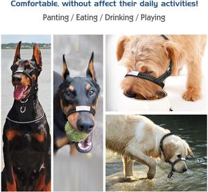 OEM Factory Reflective Adjustable Soft Nylon <strong>Dog</strong> Head <strong>Collar</strong> Halter, <strong>Neoprene</strong> Padded <strong>Dog</strong> Head <strong>Collar</strong> with Plastic Buckle - Product Image 3