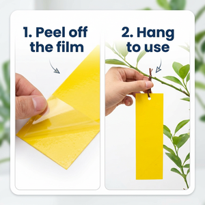 Pièges à insectes pour arbres fruitiers, plaques collantes jaunes et bleues intégrées, lutte antiparasitaire sans pesticide pour plantes vertes - Product Image 6