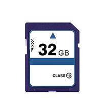 Personalizado 128GB CID Cambiar tarjeta de memoria SD Precio barato Teléfono Cámara GPS MP3 DVR Plástico 8GB 2GB 4GB 16GB 128MB 512MB Tarjeta SD