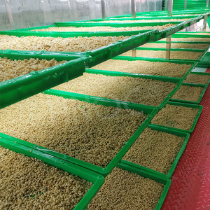 Hnoc tự động thủy canh nảy mầm phát triển container hệ thống màu xanh lá cây thức ăn gia súc lúa mạch nảy mầm đậu phộng máy - Product Image 4