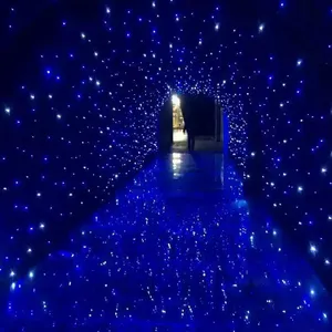 Свадебная занавеска с мерцающими звездами, 3x4 м, 3x6 м, 3x8 м, светодиодный светильник со звездами, декоративный потолочный светильник