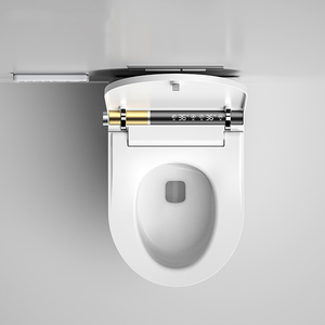 Inodoro Inteligente de Pared con Calefacción Privada de Alta Calidad, con LED, Cisterna Integrada, Modelo HMW-GS2 Australiano, Inodoro Japonés Automático - Product Image 5