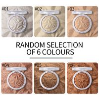 Poudre illuminatrice pour le maquillage, longue tenue, éclaircissante, contouring, poudre de contouring monocouleur, poudre pressée, éclat diamant, maquillage illuminant