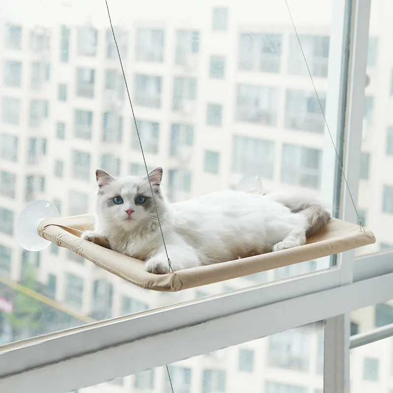 Ventouses de sécurité gain de place siège de chat lit monté sur la fenêtre perchoir de chat hamac de fenêtre