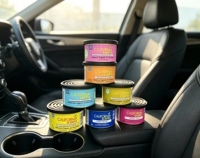 Désodorisant et éliminateur d'odeurs solides California Scents avec matériau en bois à évaporation naturelle pour une ambiance intérieure optimale