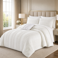 Ensemble de couette d'hiver en jacquard tissé blanc capitonné, housse de couette en microfibre texturée, pour la maison et l'hôtel