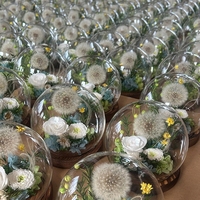 Groothandel Luxe Cadeau Ge conserveerde Paardenbloem Eeuwige Bloem Kerst LED Licht Ge conserveerde Bloem Glazen Bol Koepel Ge conserveerde Bloem
