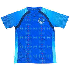 Fabrika Toptan Özelleştirilmiş Logolu Haiti Futbol Forması Hızlı Kuruyan Rahat Polyester Spor Kulübü Forması Süblimasyon Tişört - Product Image 4