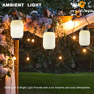 2025 mới nhất năng lượng mặt trời di động dẫn ánh sáng ban đêm trắng Chụp đèn nhà kính cầm tay phòng ngủ phòng nghiên cứu USB sạc nhanh - Product Image 3