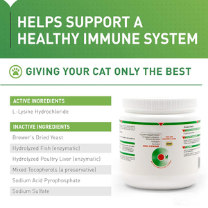 Poudre de <span class=keywords><strong>L</strong></span>-<span class=keywords><strong>Lysine</strong></span> pour la santé oculaire des chiens et chats seniors, compléments alimentaires pour la santé immunitaire et digestive des animaux de compagnie, vitamines pour chats, suppléments pour chiens et chats - Product Image 3
