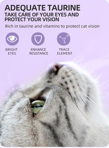 Fabrika Doğrudan Tedarik Özel Logo Ücretsiz Numune Besleyici Dengeli Yüksek Proteinli 10 kg Kedi Kuru Maması - Product Image 4